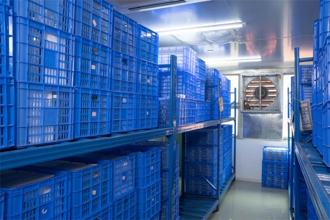 Customized Disposable Laparoscopic Trocar Surgical Instruments Single Use Hasson Type 7