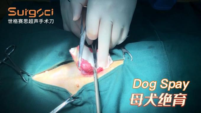 Ligasure Instruments Veterinary Ultrasonic Scalpel System For Pets Surgery 6