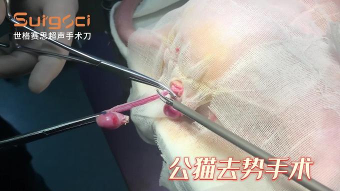 Ligasure Instruments Veterinary Ultrasonic Scalpel System For Pets Surgery 5