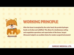 The Advantages of Surgsci Ultrasonic Scalpel Compared to Traditional Pet Surgeries